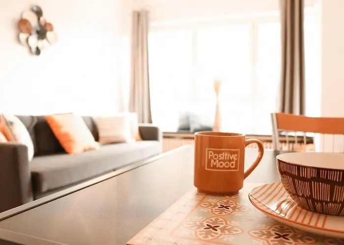 公寓 Zonnig & Gezellig Centrum 奥斯滕德