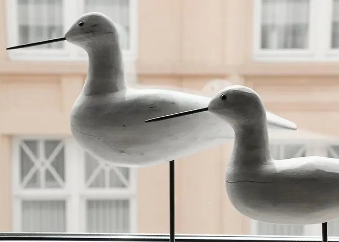 Apartment Zonnig & Gezellig Centrum