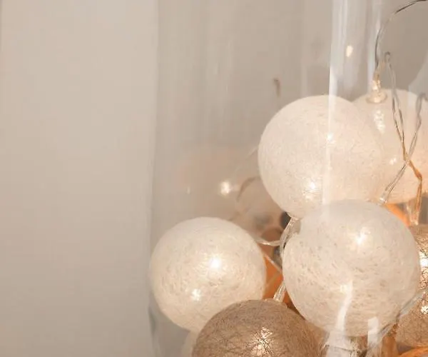 Zonnig & Gezellig Centrum 公寓