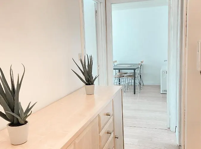 Zonnig & Gezellig Centrum 公寓